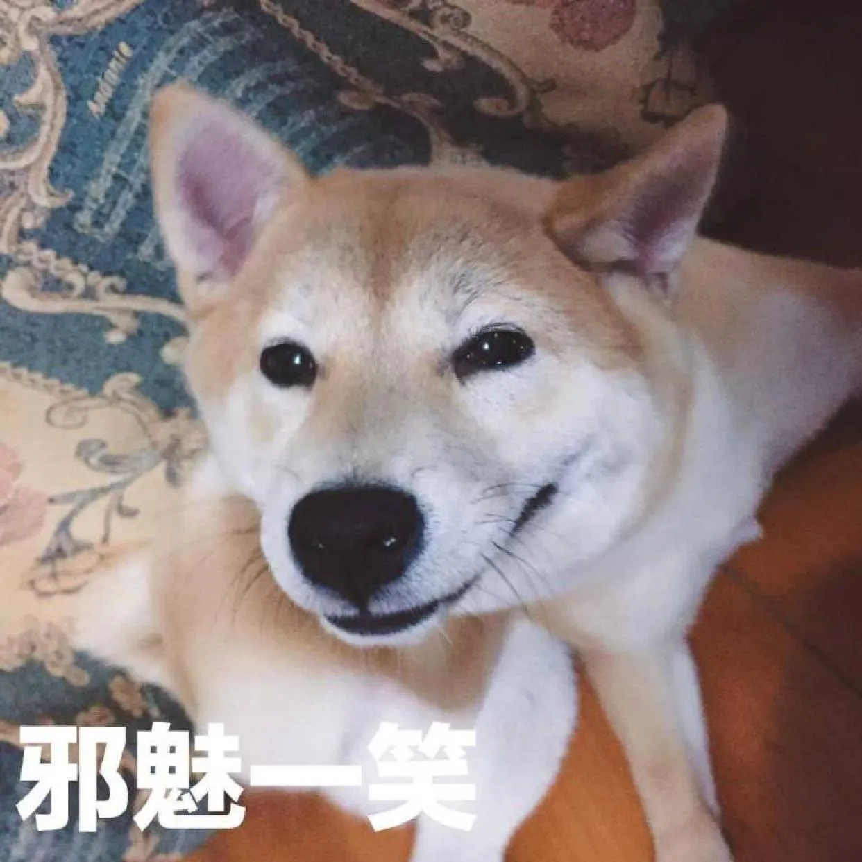 眼酱大魔王w – NO.008 各种杂图合集 [3.15GB]-Everphoto [581P]插图